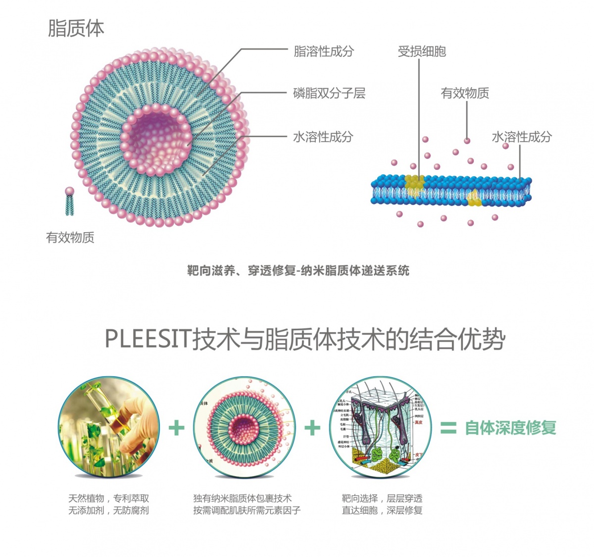 主动透皮技术优势.jpg